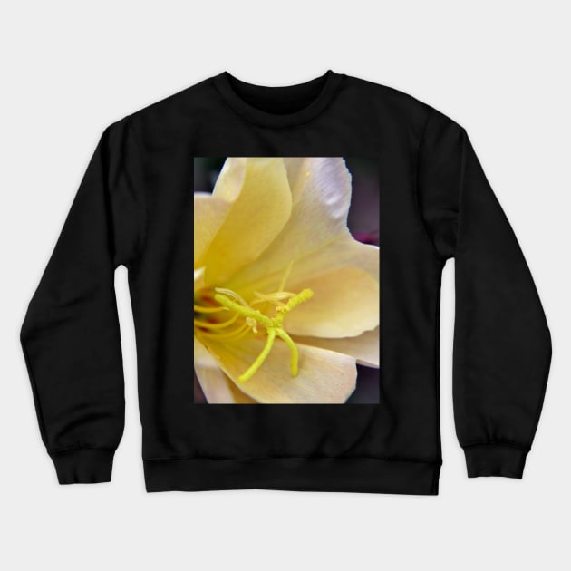 Evening Primrose Flower Crewneck Sweatshirt by Viking Visual - Lori Svensen